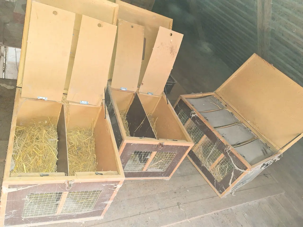 Billede 1 - Transport kasser 