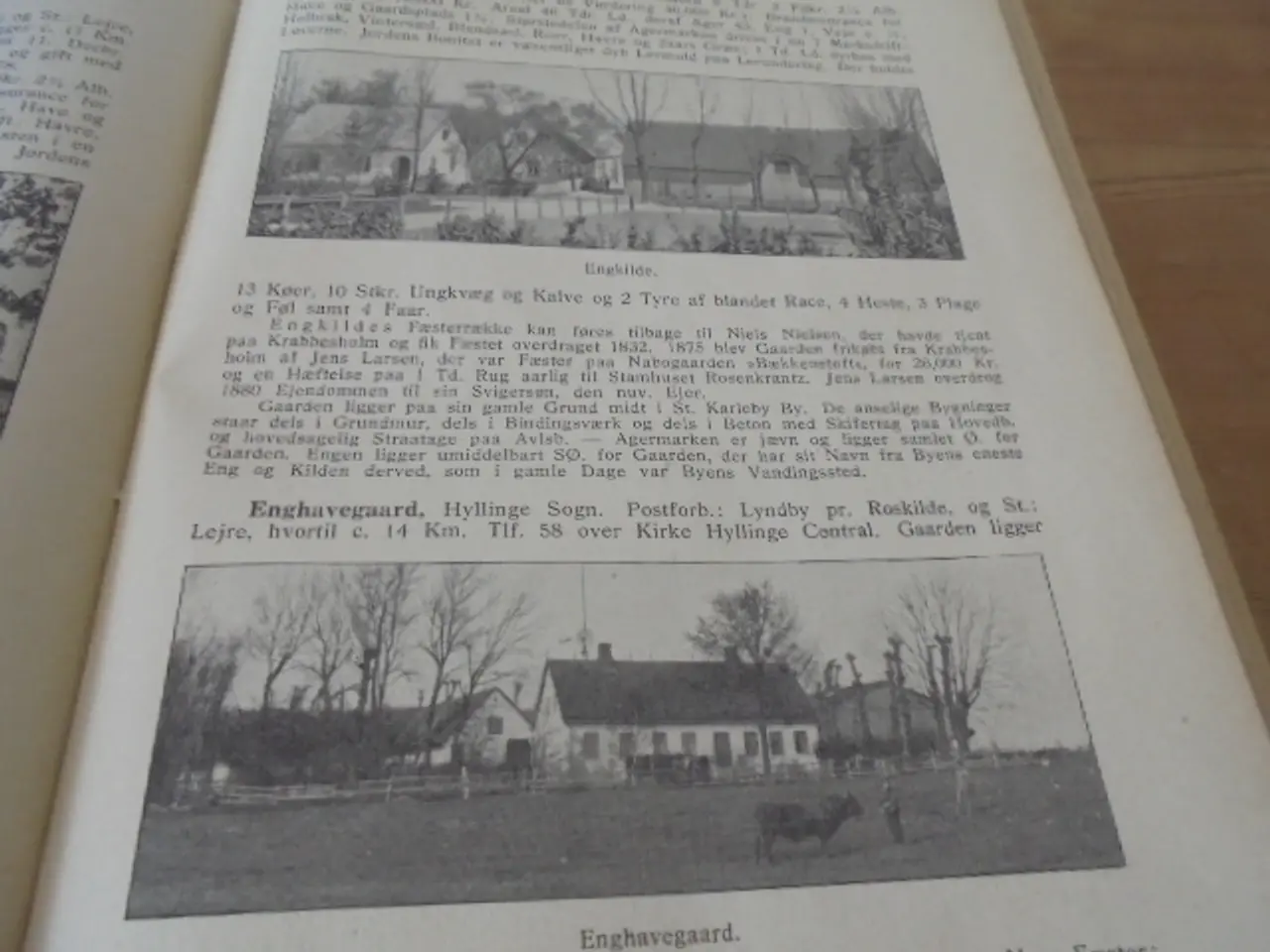 Billede 2 - Gamle Gaarde – III Samling – stort værk fra 1915
