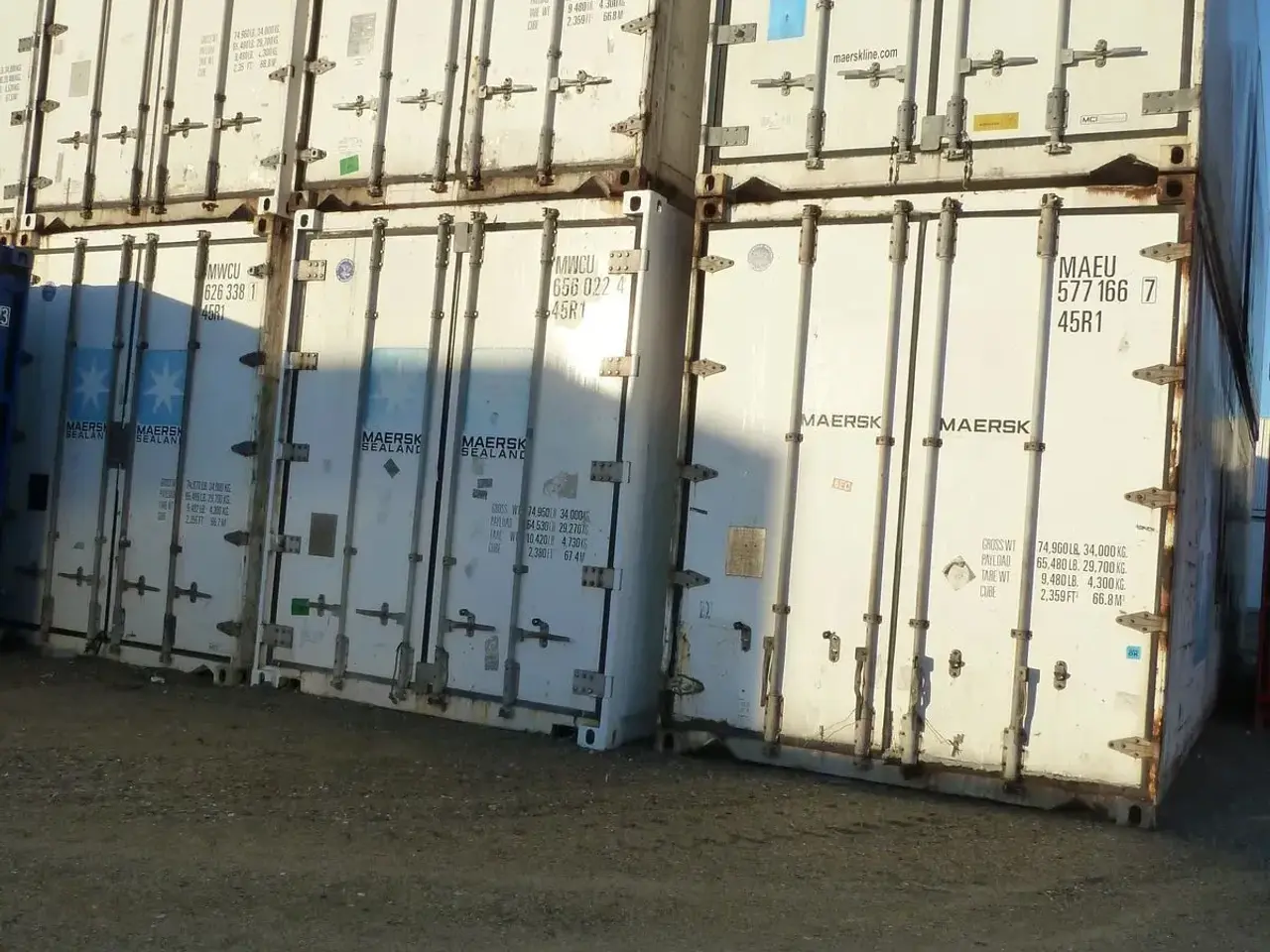 Billede 6 - 20 og 40 fods kølecontainer
