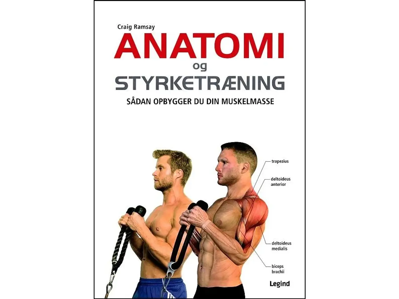 Billede 1 - Anatomi og Styrketræning