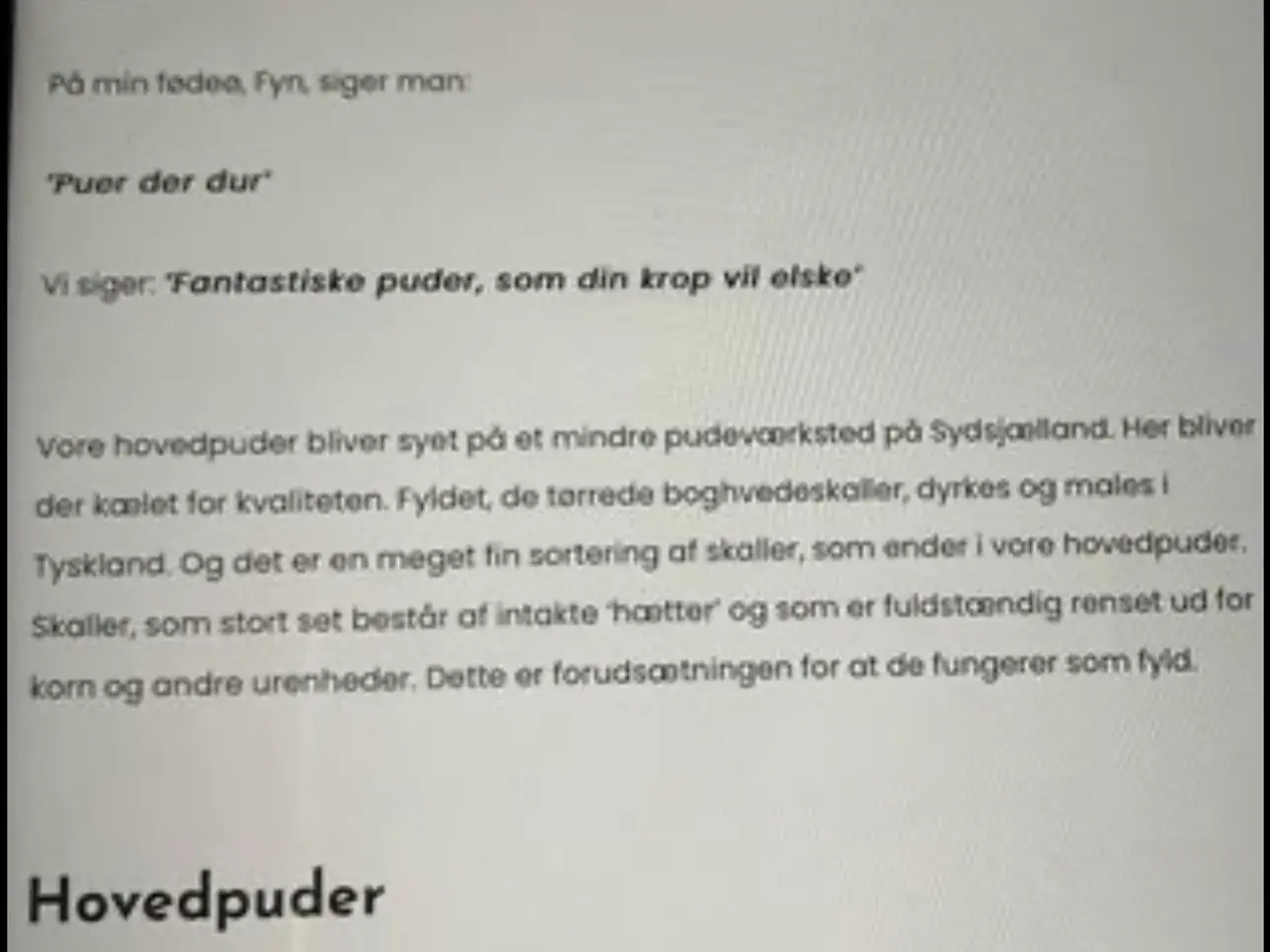 Billede 7 - Hovedpude 40*60 Cm. Boghvedeskaller Ca 2300 g