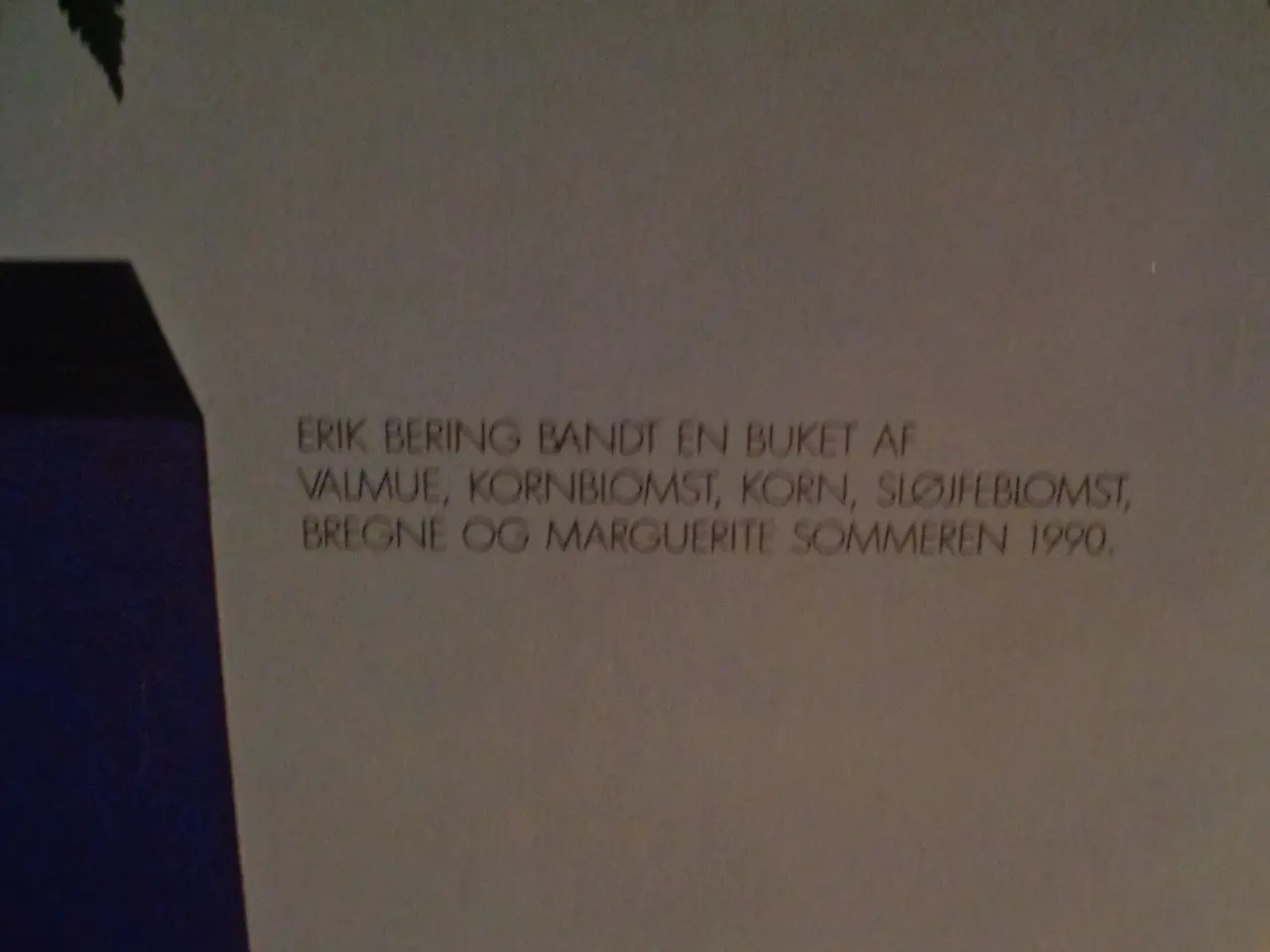 Billede 5 - Reklame plakat for Danmark