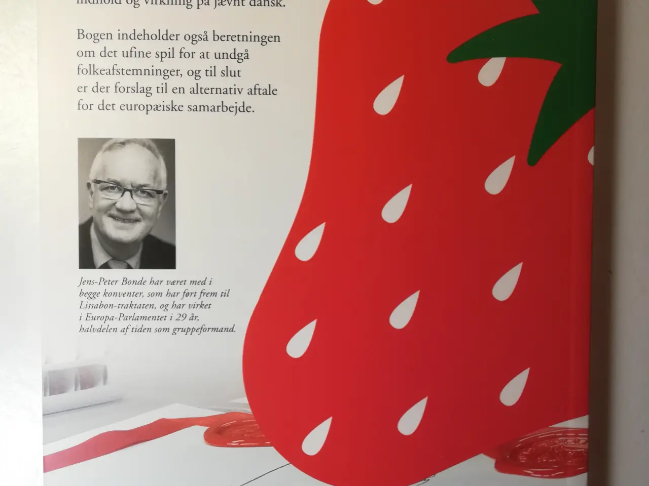 Billede 3 - Fra forfatning til Lissabon