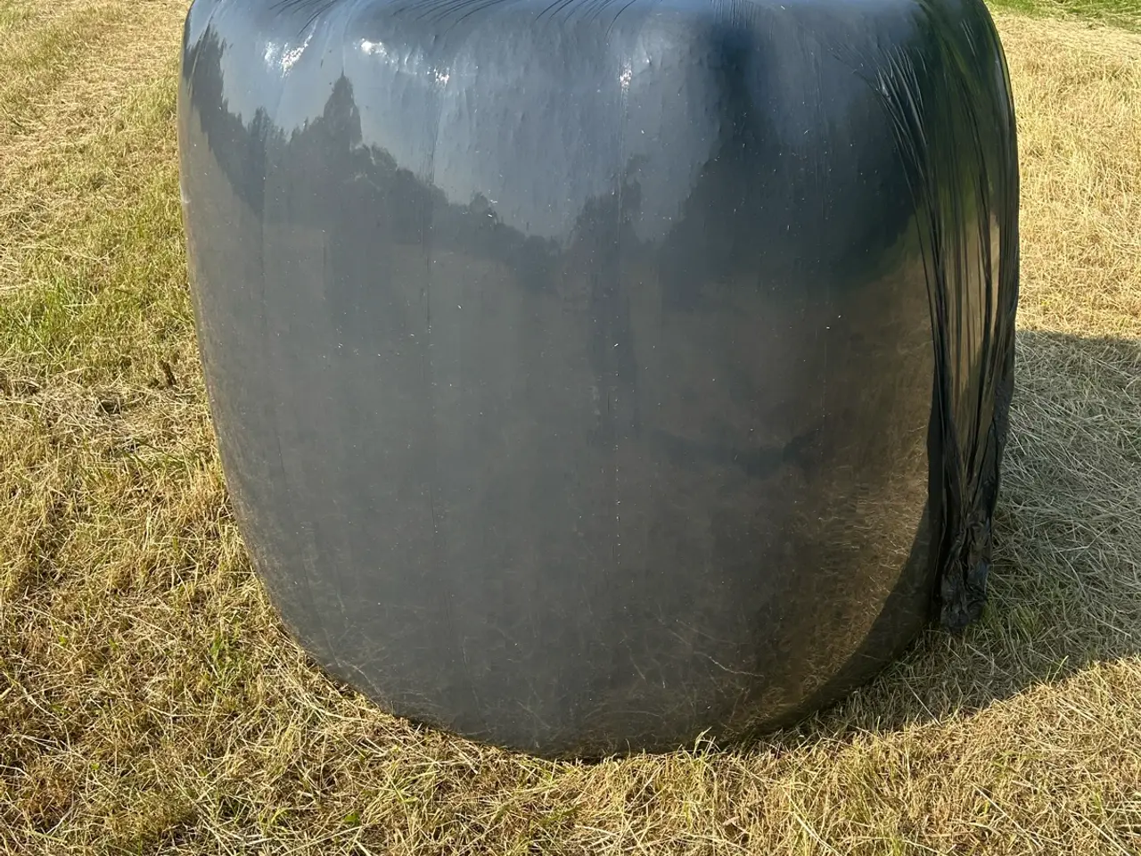 Billede 2 - Store hø baller
