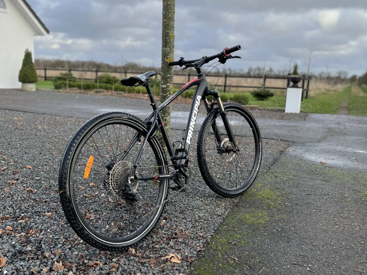Billede 1 - Principia mountainbike 