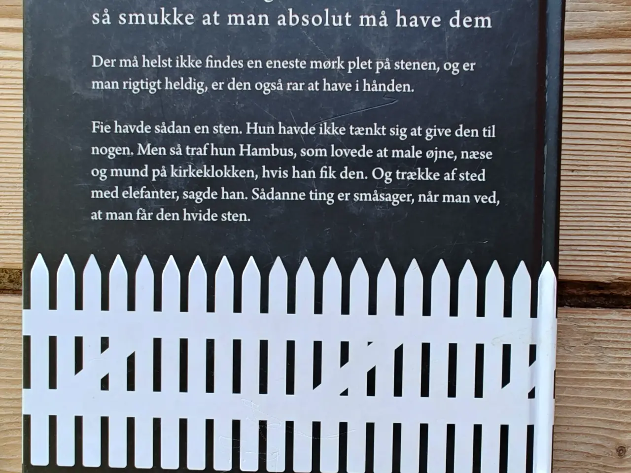 Billede 2 - Den hvide sten BOG af Gunnel Linde