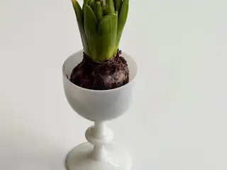 Vinglas, hvid opalineglas