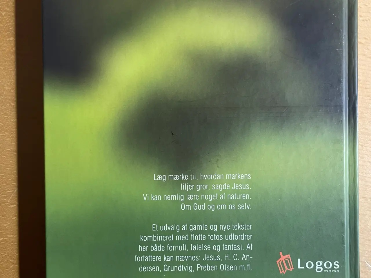 Billede 2 - Se markens liljer, Ditte Olsen
