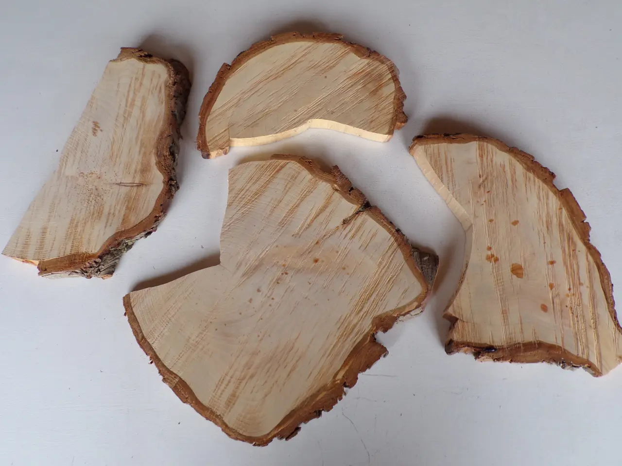 Billede 2 - 4 Thuja Træskiver med bark i skæve faconer