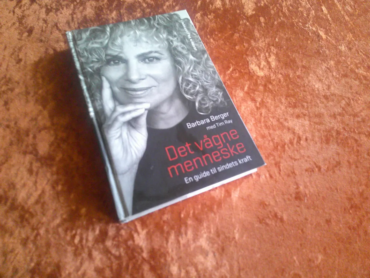 Billede 1 - Det vågne menneske, Barbara Berger