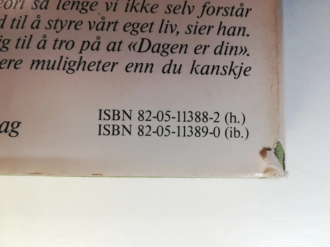 Billede 6 - Dagen er din, af Erik Dammann