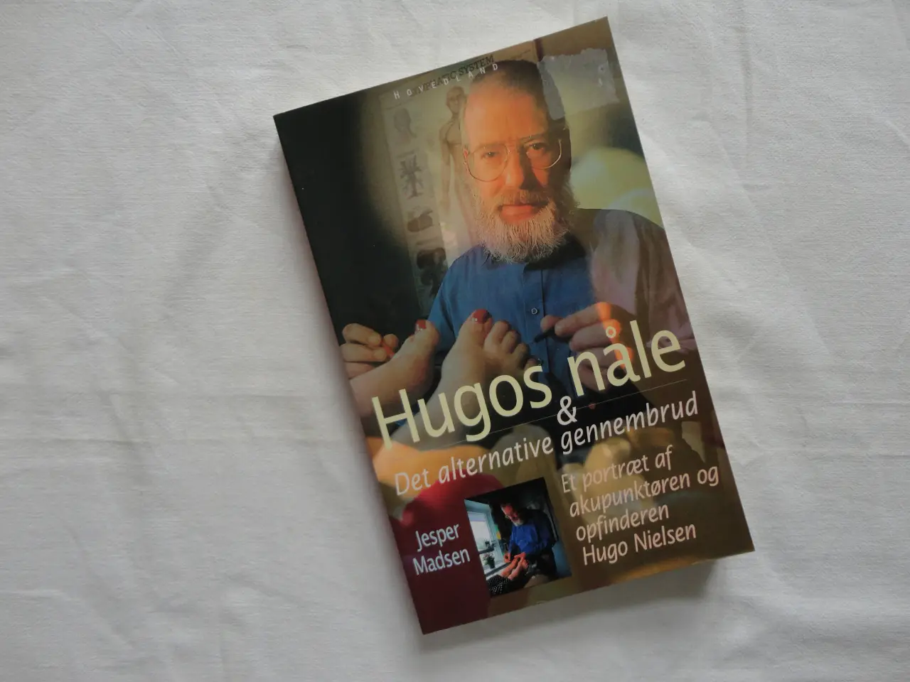 Billede 1 - Hugos nåle & Det alternative gennembrud :