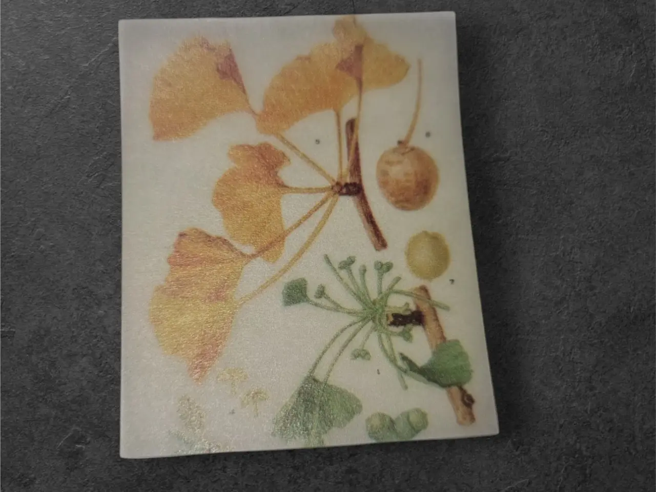 Billede 20 - Annonce 95 - Hobby