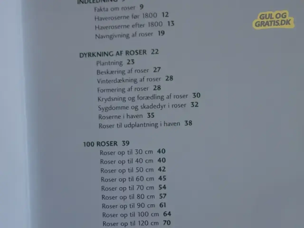 Billede 4 - R o s e r  :