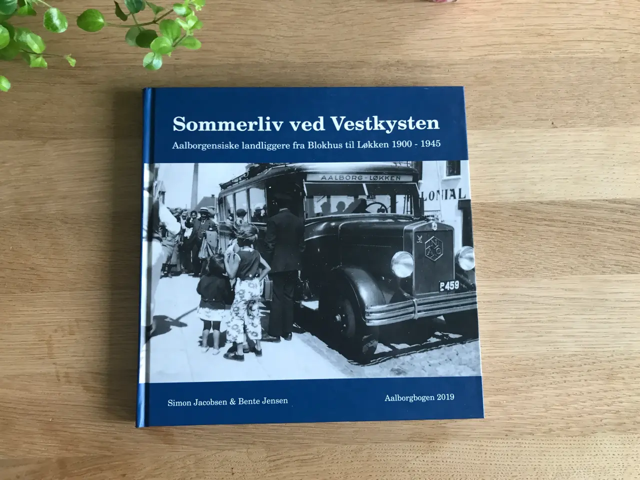 Billede 1 - Sommerliv ved Vestkysten - Aalborgbogen 2019