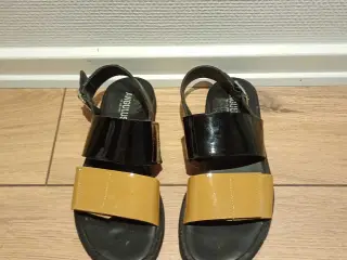 Fin