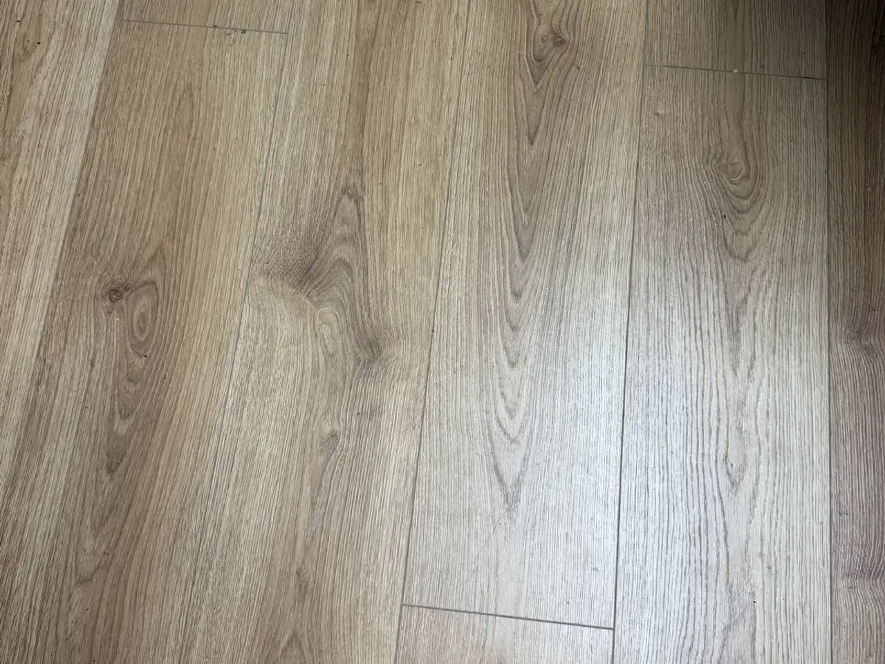 Billede 1 - Moland Laminat gulv, Atlantis Natur Eg
