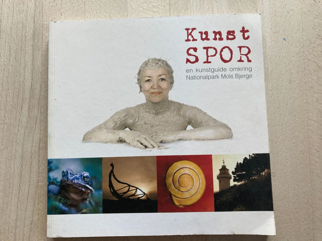 Billede 2 - Kunstspor: en kunstguide omkring Nationalpark Mol