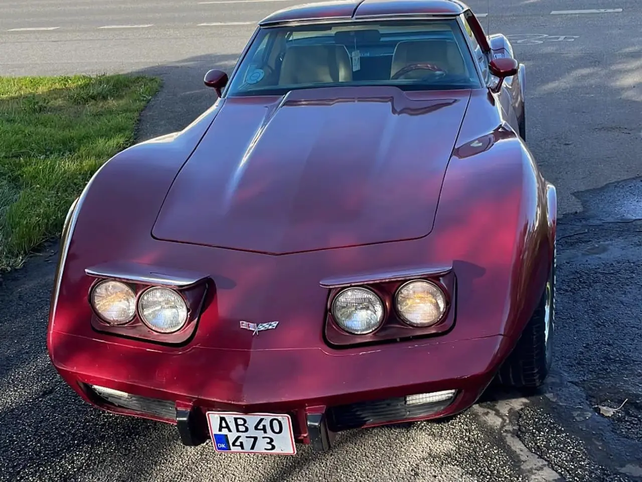 Billede 7 -  Chervolet Corvette C3 Stingray 1979 5,7 V8