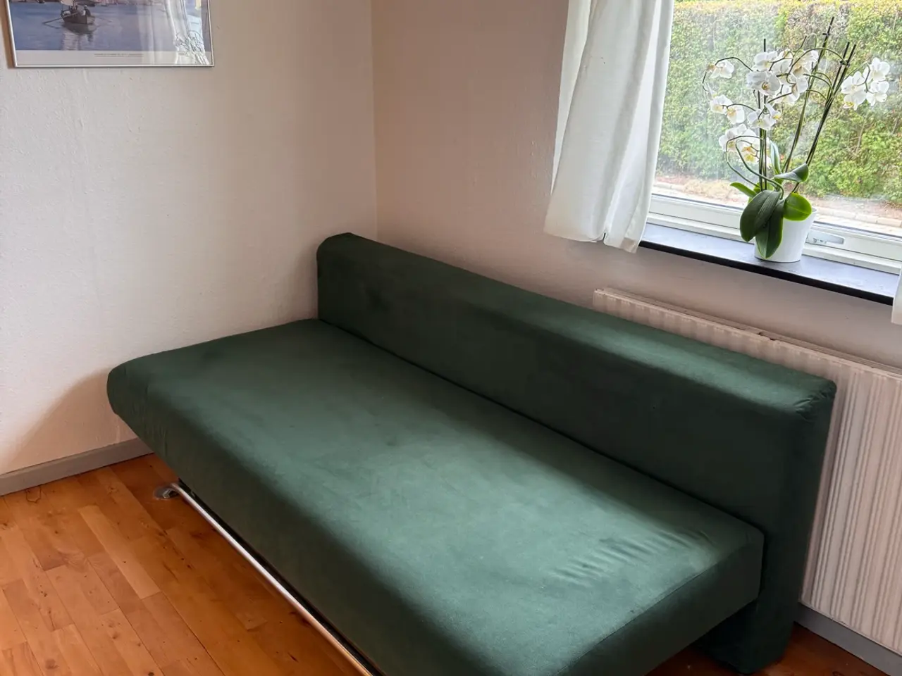 Billede 1 - sovesofa i grøn