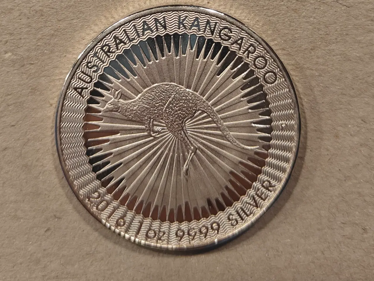 Billede 1 - 2 stk. Australian Kangaroo