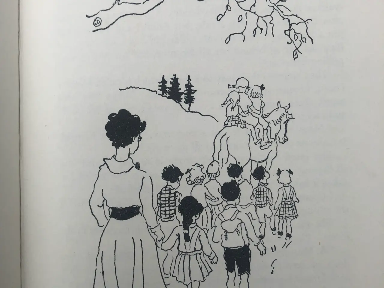 Billede 5 - Pippi