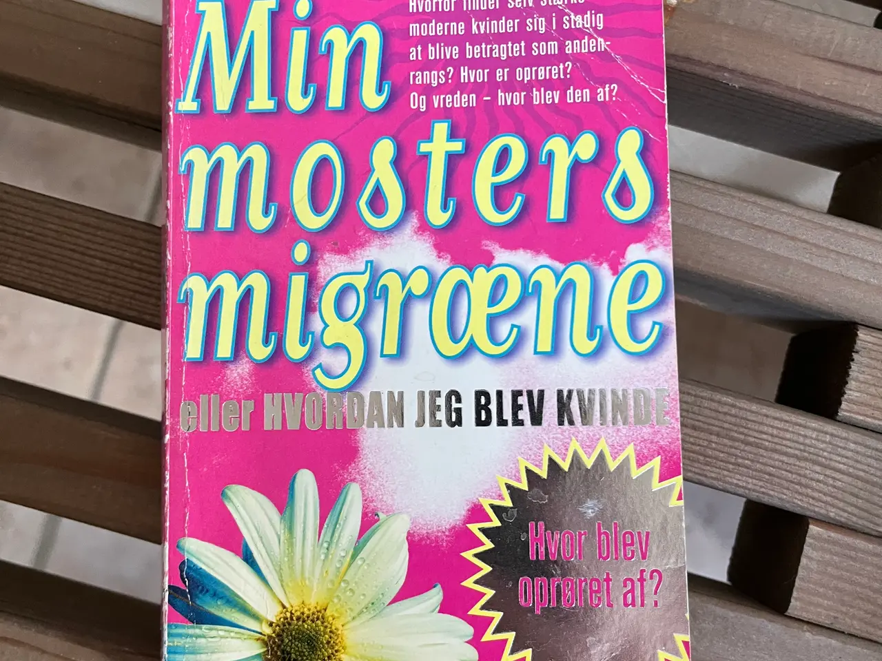 Billede 1 - Min mosters migræne 