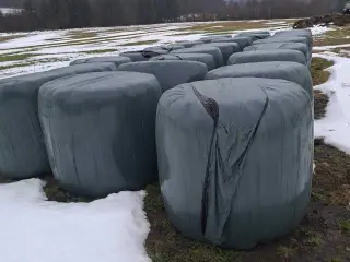 Wrap 