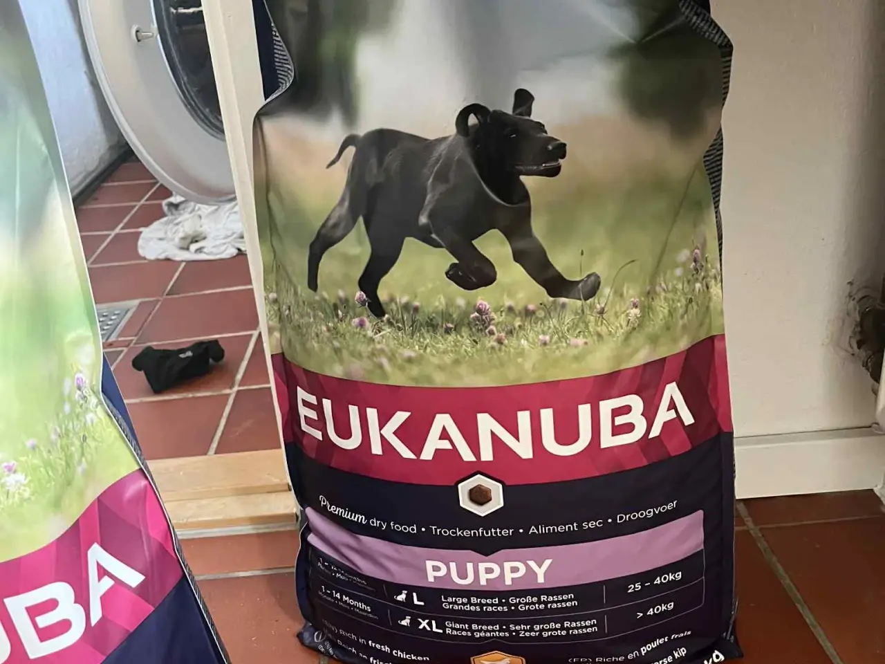 Billede 5 - Hundeting til salg