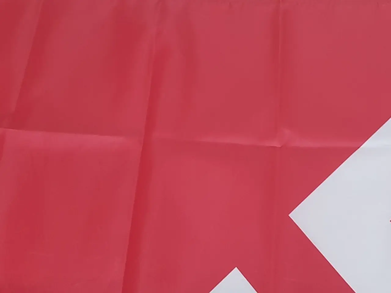 Billede 2 - Tyskland WW2 flag