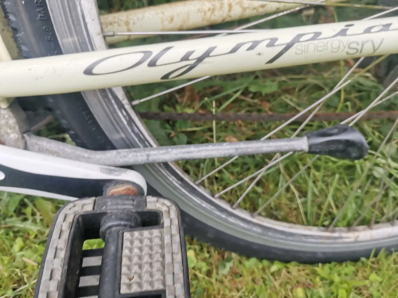 Billede 18 - Cykel til en kærlig hånd 🌸