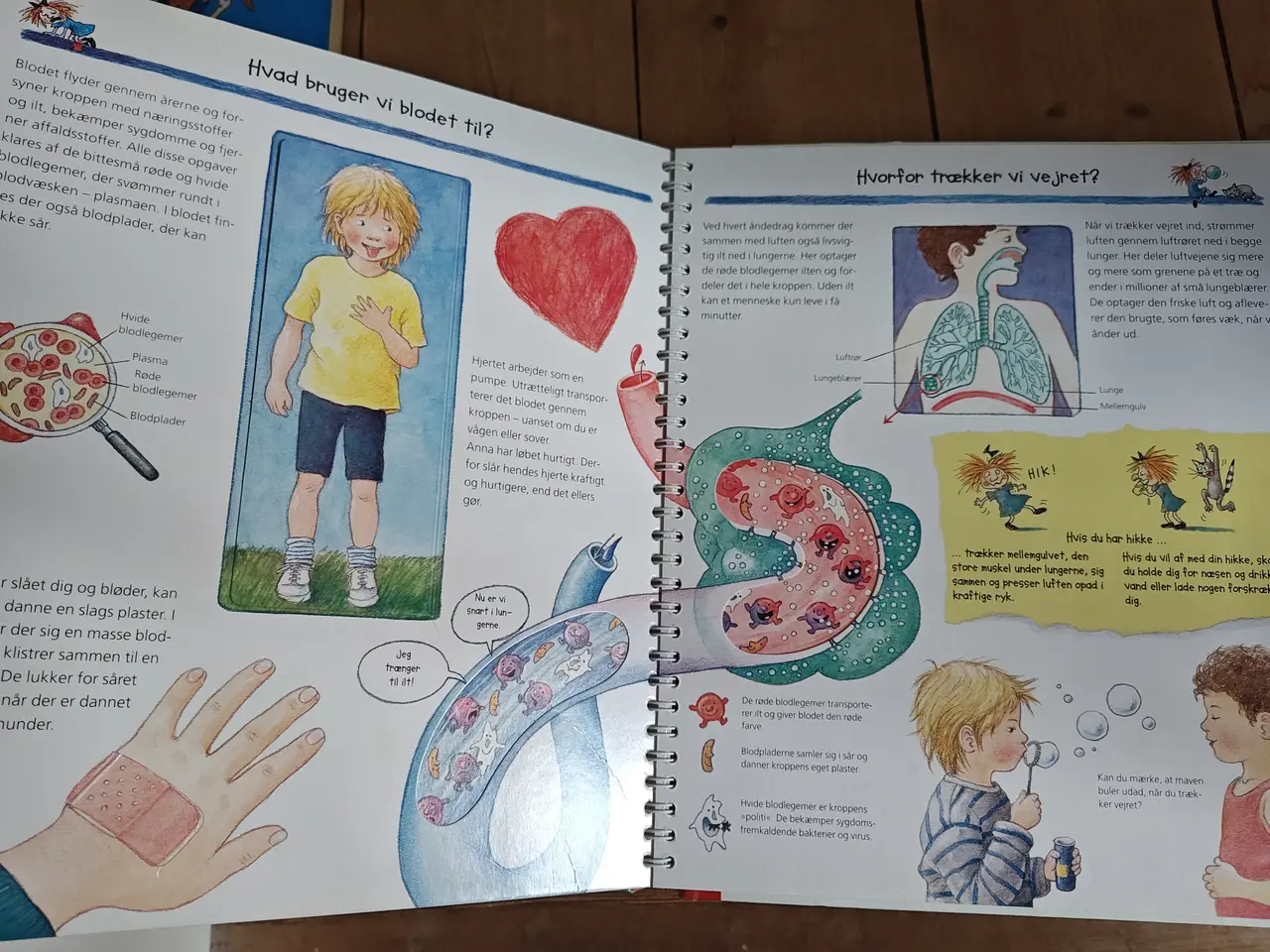 Billede 2 - På opdagelse i kroppen BOG