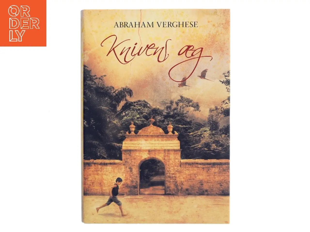 Billede 1 - Knivens æg : roman af Abraham Verghese (Bog)