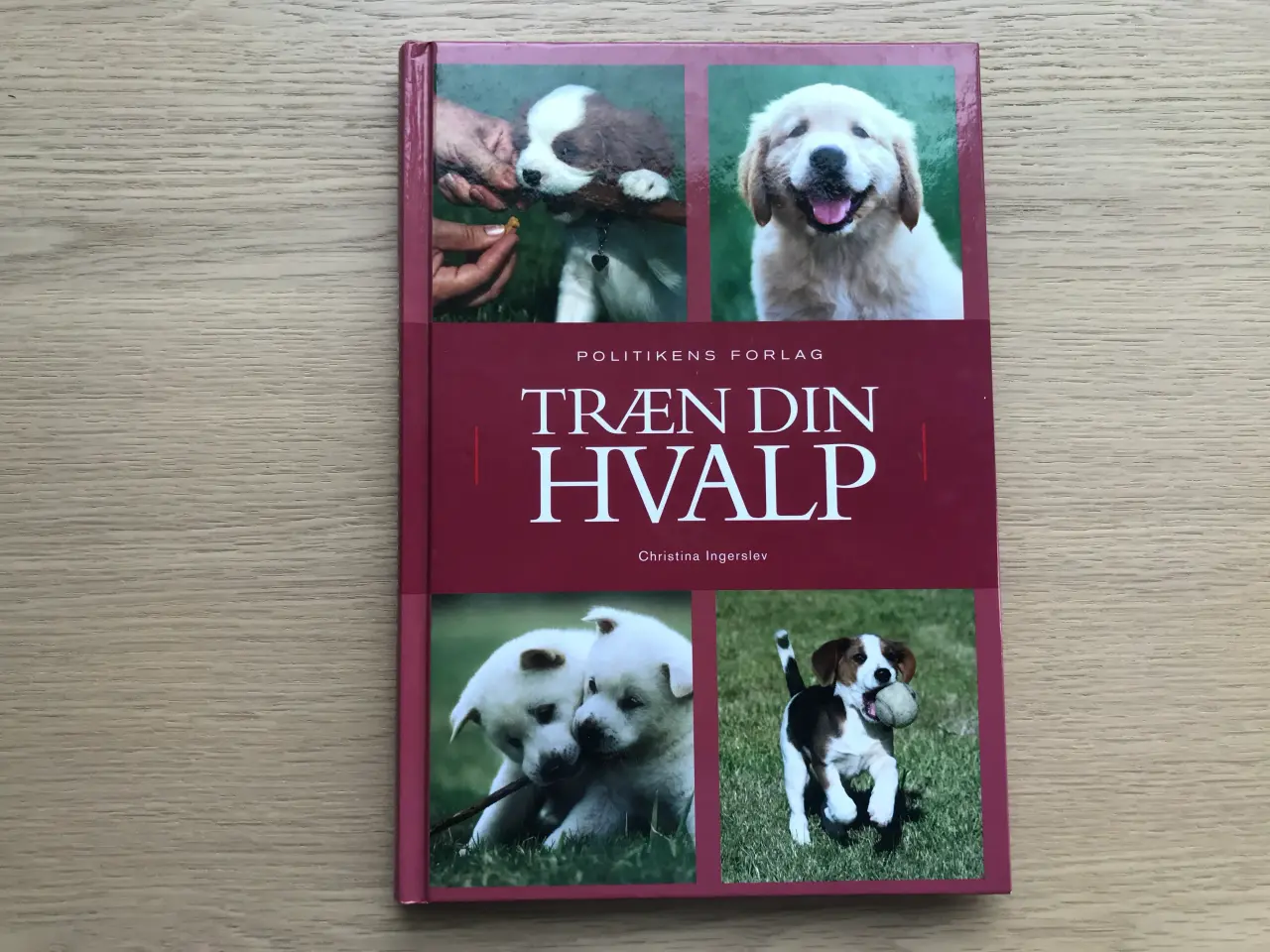Billede 1 - Træn Din Hvalp af Christina Ingerslev