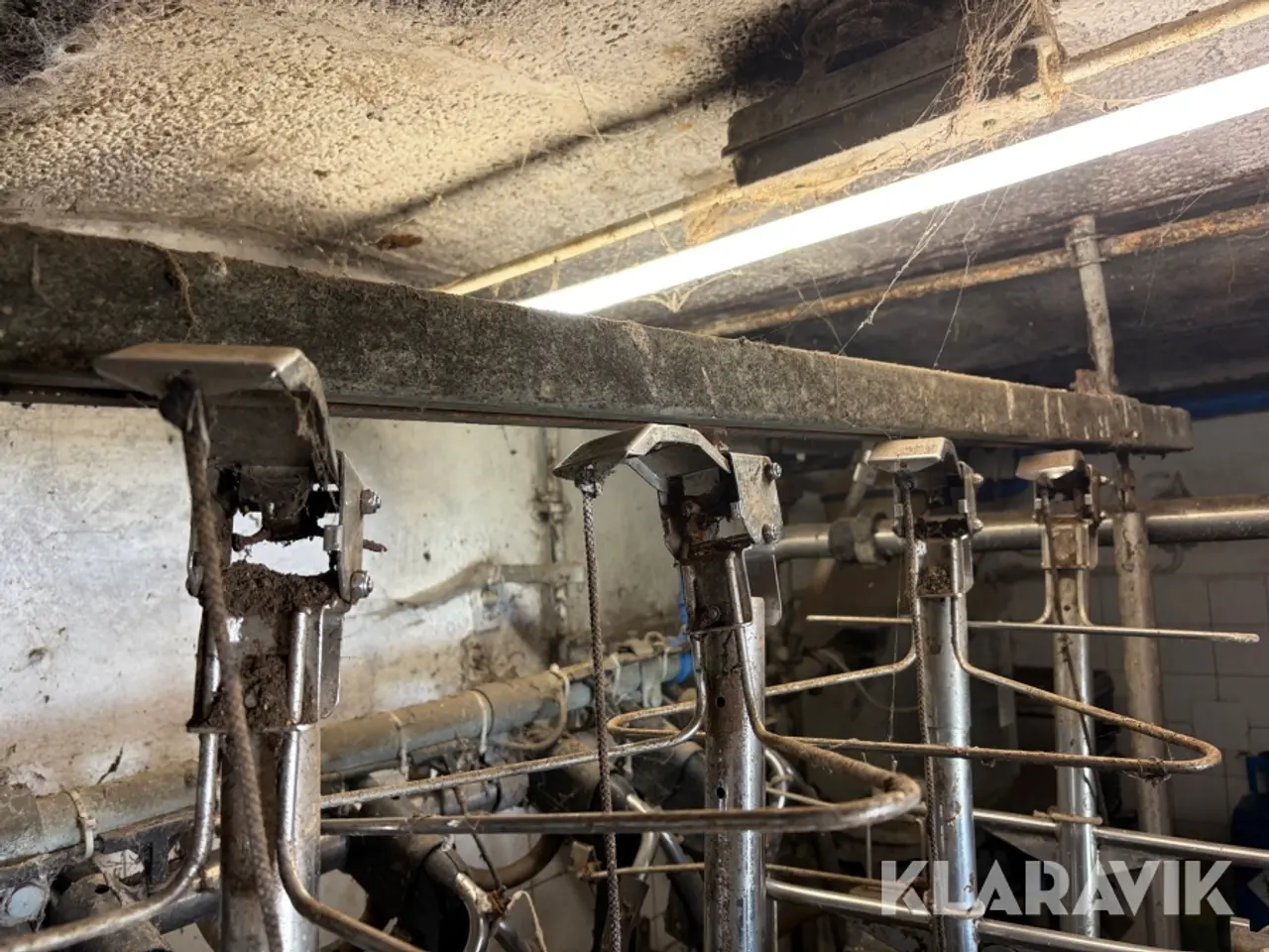 Billede 10 - Malkemaskine med aftager Alfa laval Milkmaster 8 styk