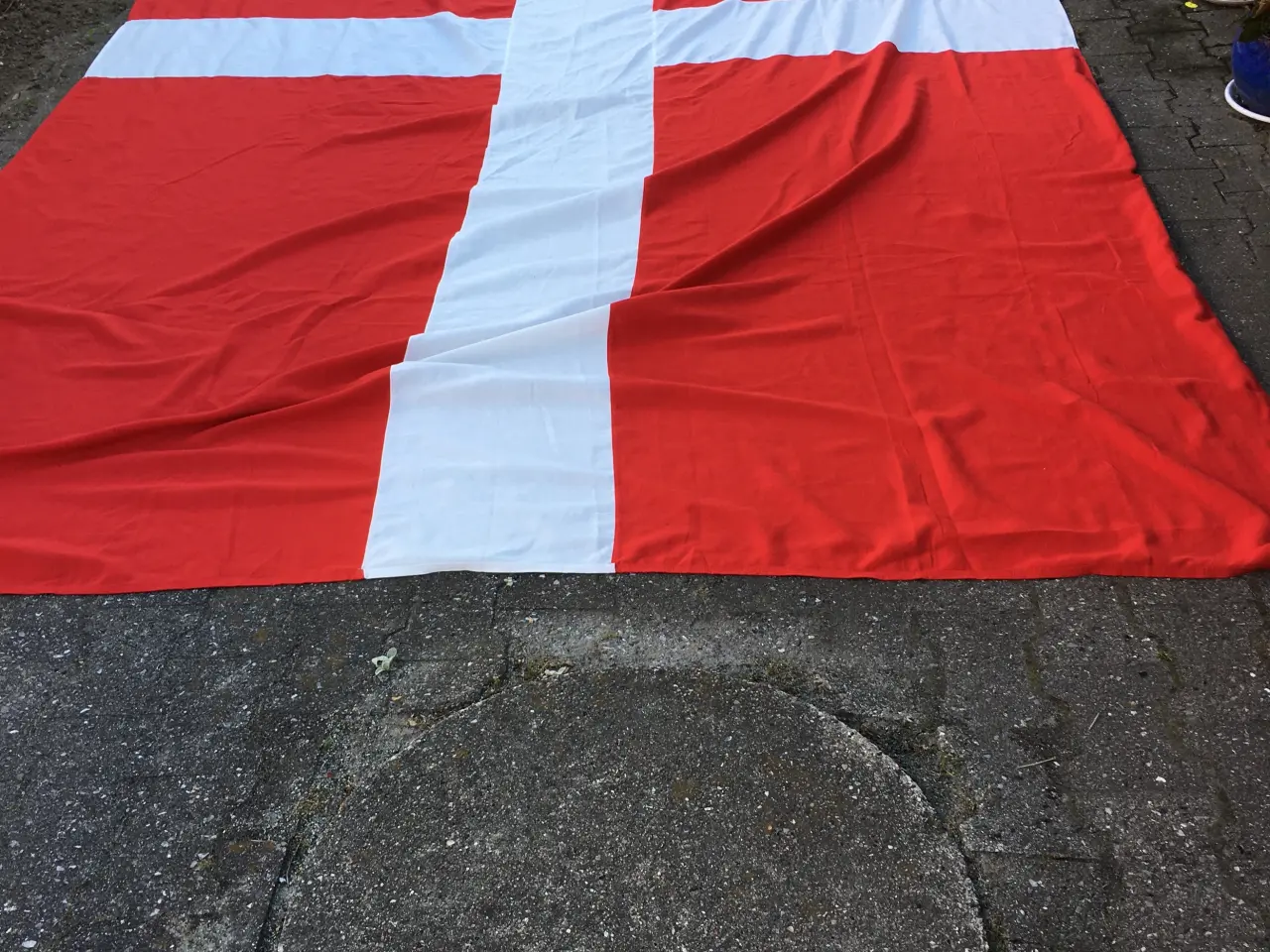 Billede 1 - Dannebrog