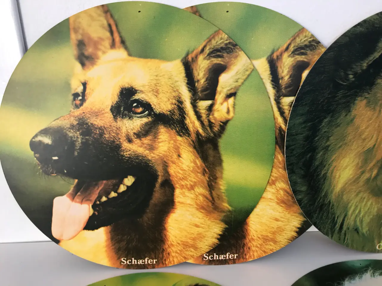 Billede 2 - 8 stk retro papskilte med hunde