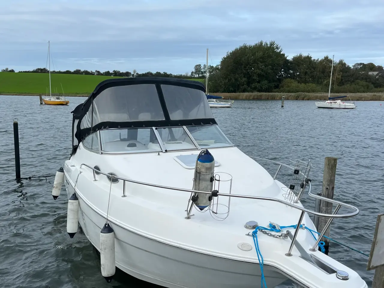 Billede 5 - Wellcraft martinique 2400