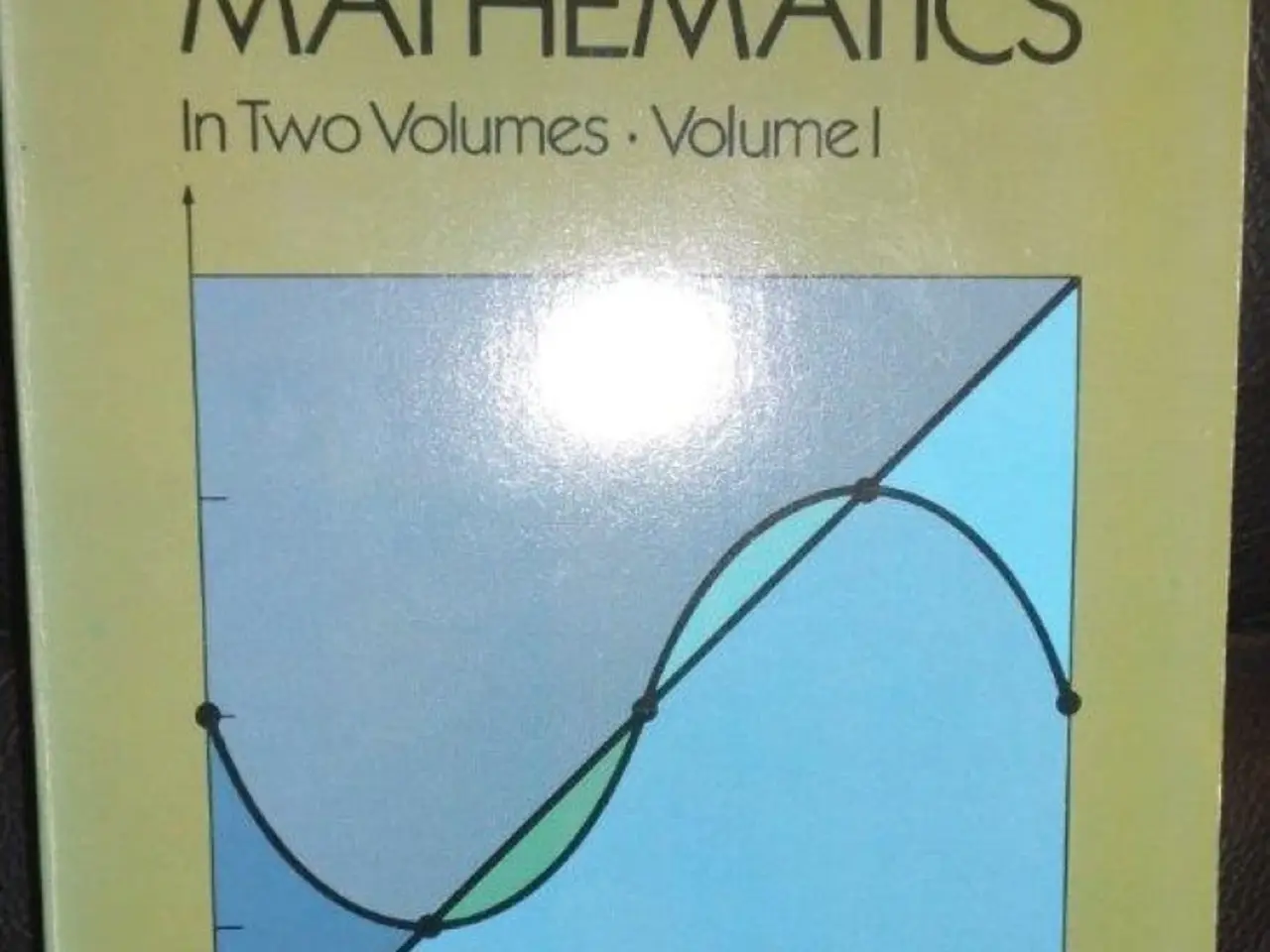 Billede 4 - A Survey of Numerical Mathematics