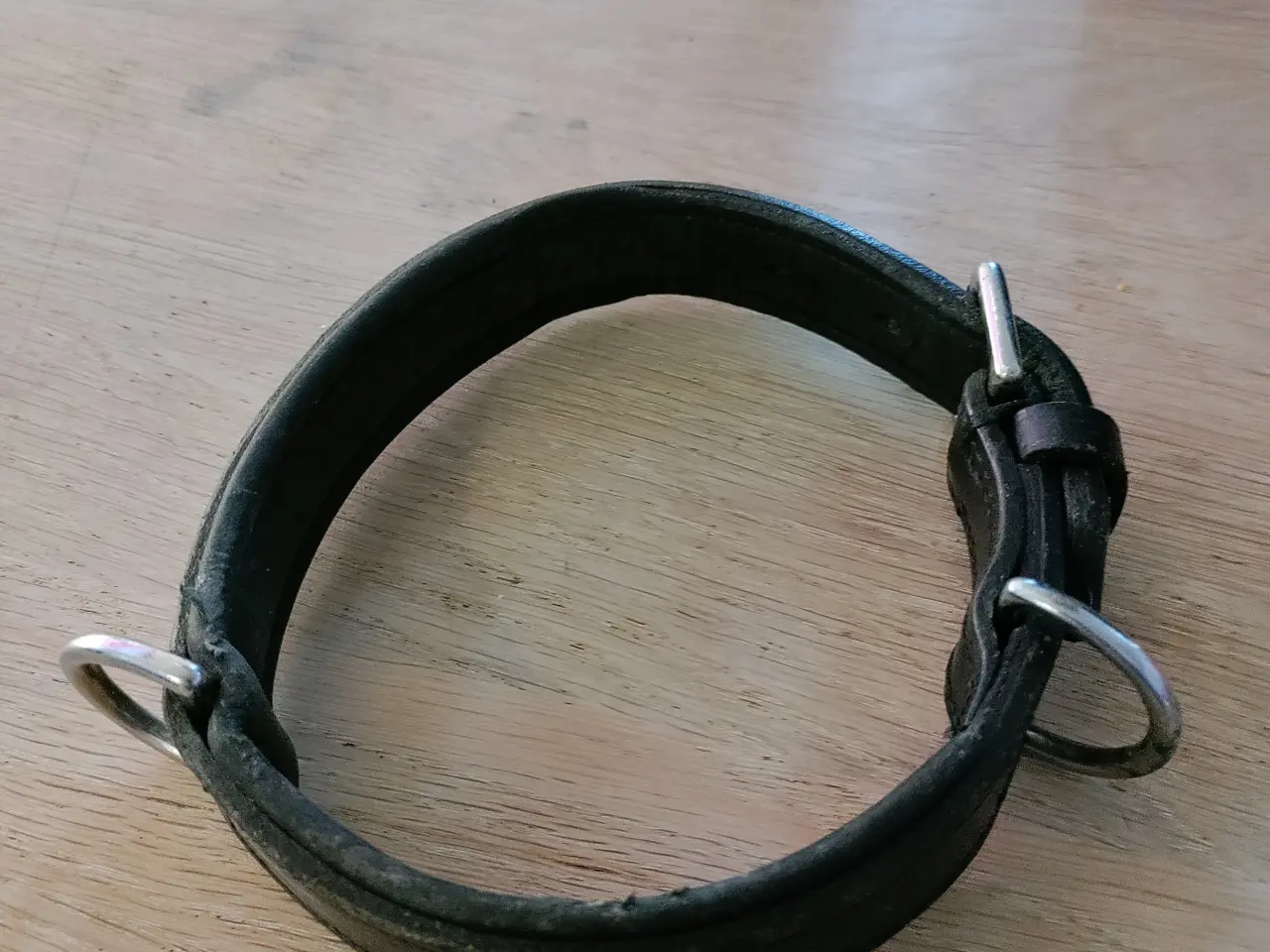 Billede 7 - Halsbånd, seler mm. Til hund..