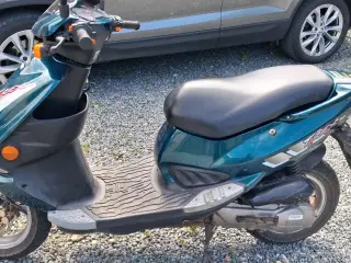 Pgo t-REX