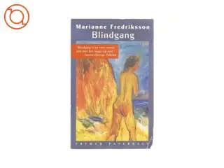 Blindgang af Marianne Frederiksson (bog)