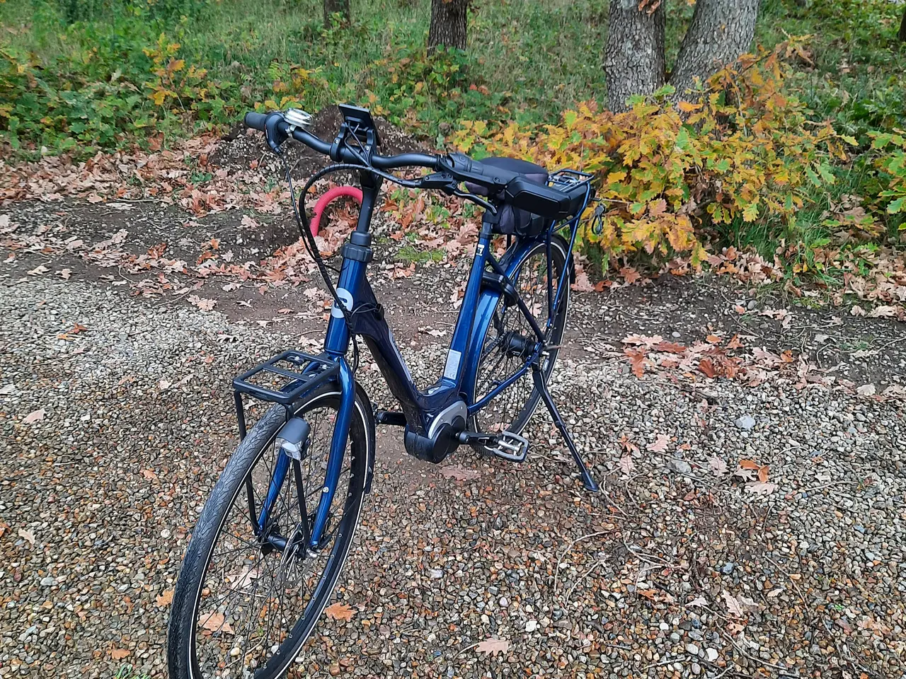 Billede 1 - Elcykel Companion e2.0