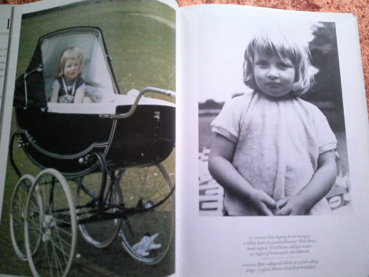 Billede 2 - Diana - prinsesse af Wales 1961-97, Michael O'Mara