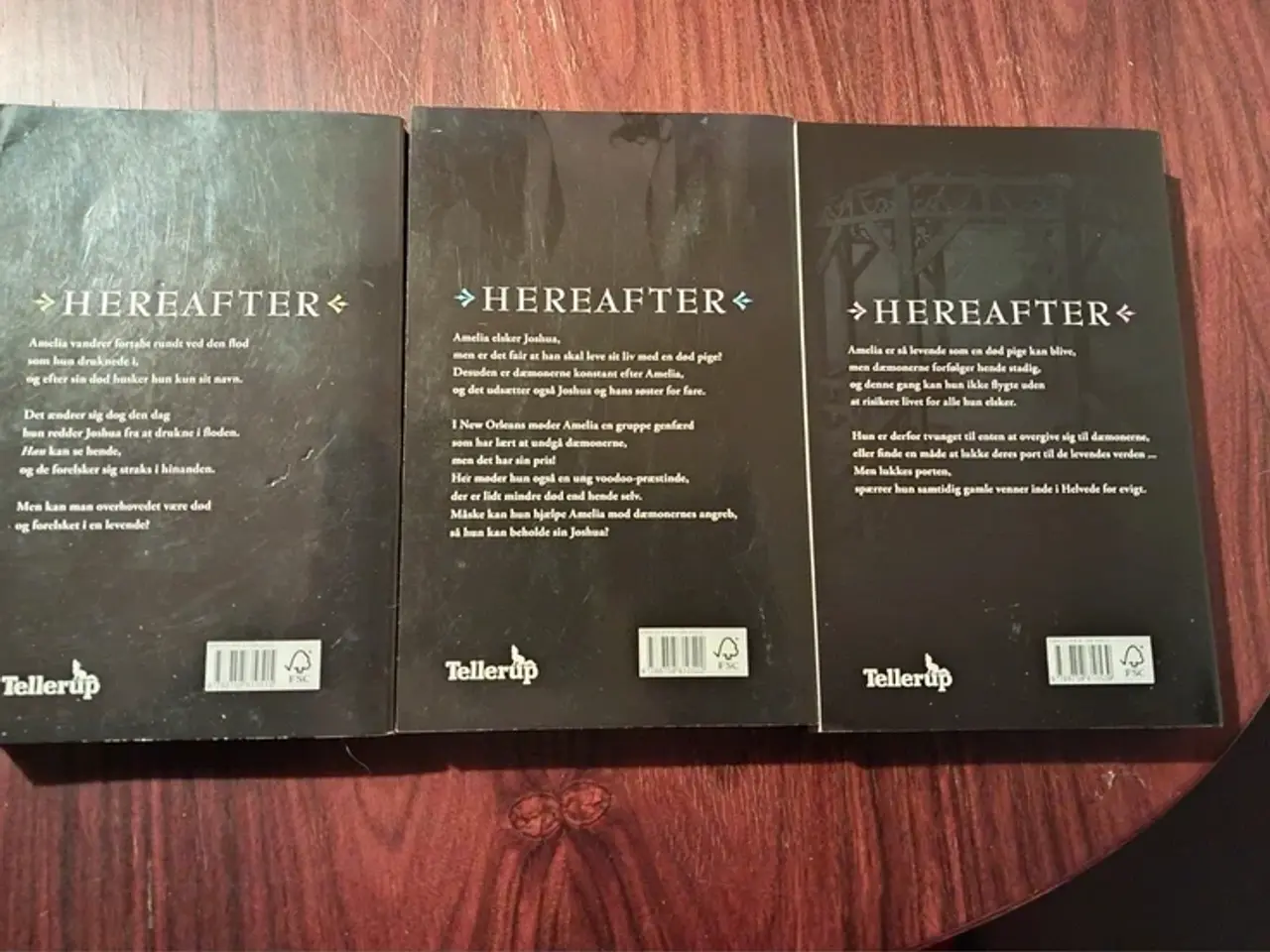 Billede 2 - Hereafter 1-3
