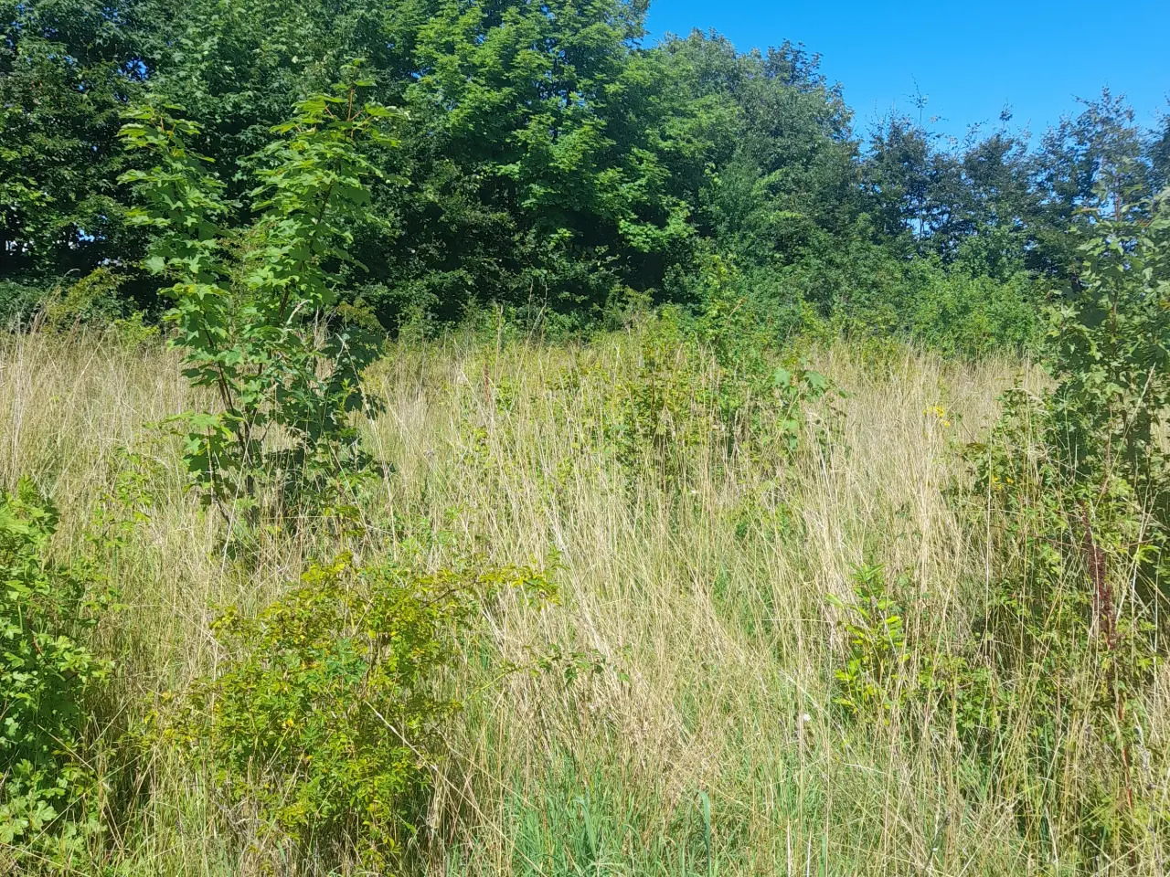 Billede 9 - Bygge grund