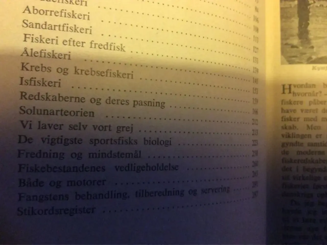 Billede 4 - Jeg  Er Lystfisker