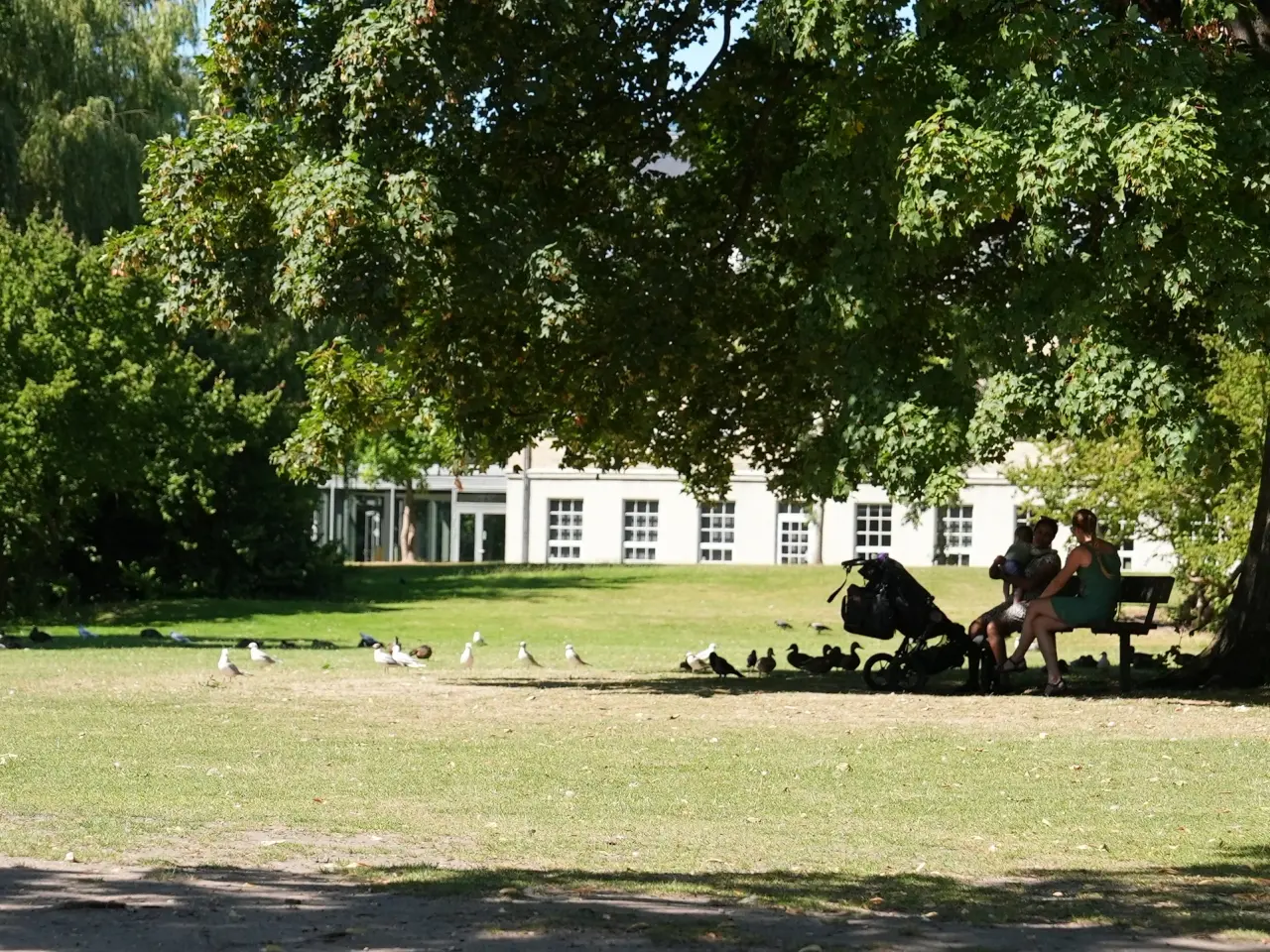 Billede 9 - Charmerende  lejemål på 667 m²