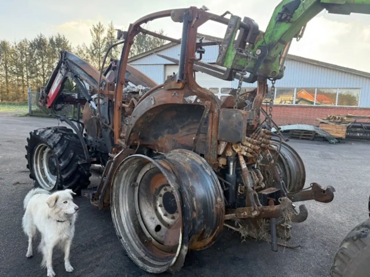 Billede 6 - Case Maxxum 150 (Sælges i dele/For parts)
