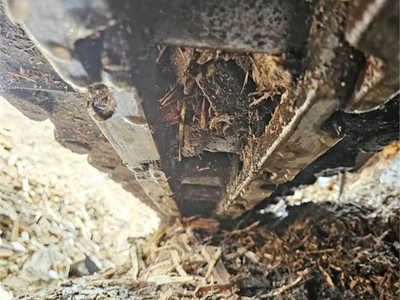 Billede 48 - Terex Ecotec TBG 530 T